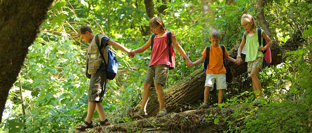 Urlaub im Bayerischen Wald